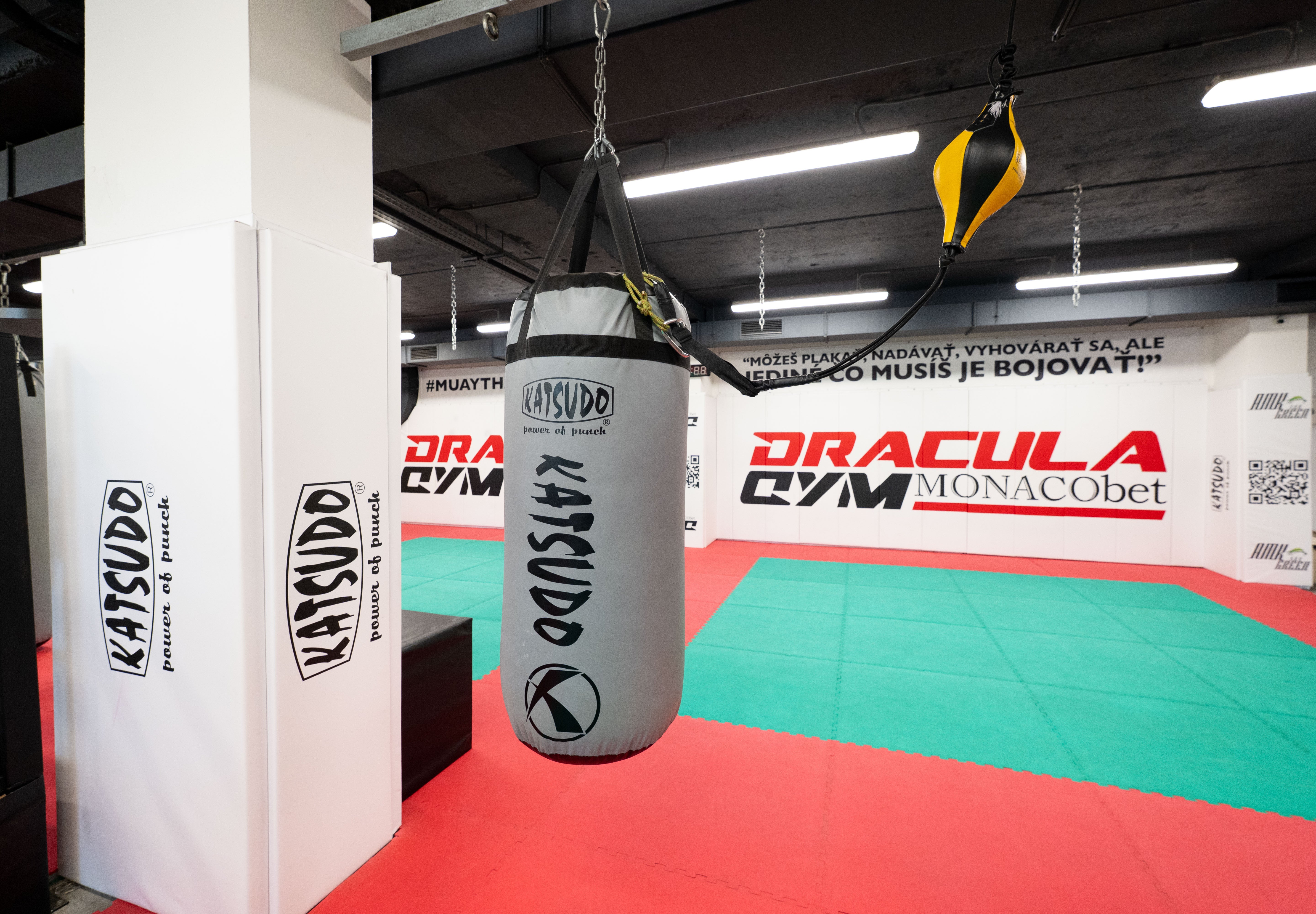 Katsudo bokszzsák Big boy Pro Boxing, szürke